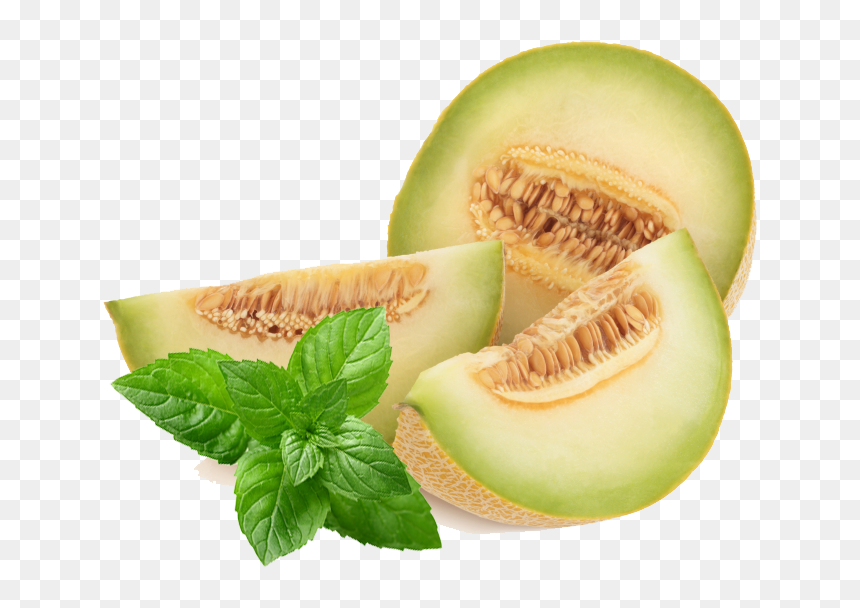 Honey Dew Png - Honeydew Melon Transparent Background, Png Download - honeydew png