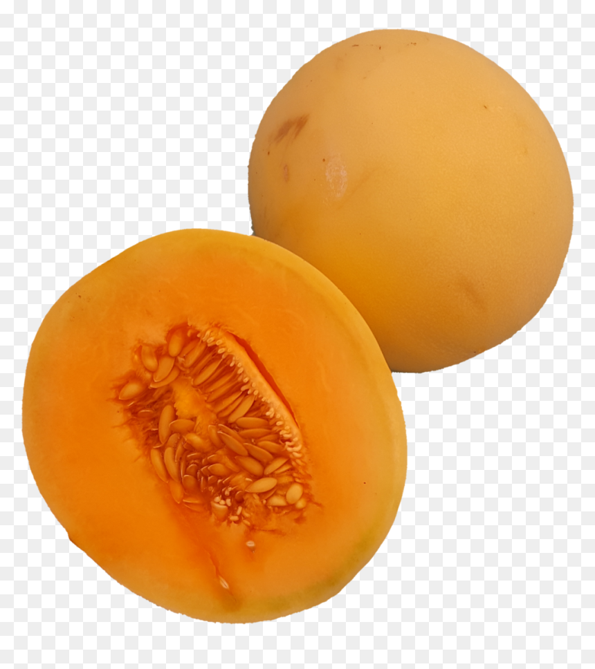 Honeydew , Png Download - Honeydew, Transparent Png - honeydew png