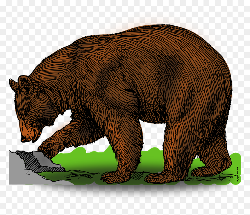 Bear Clipart, HD Png Download - scumbag steve hat png