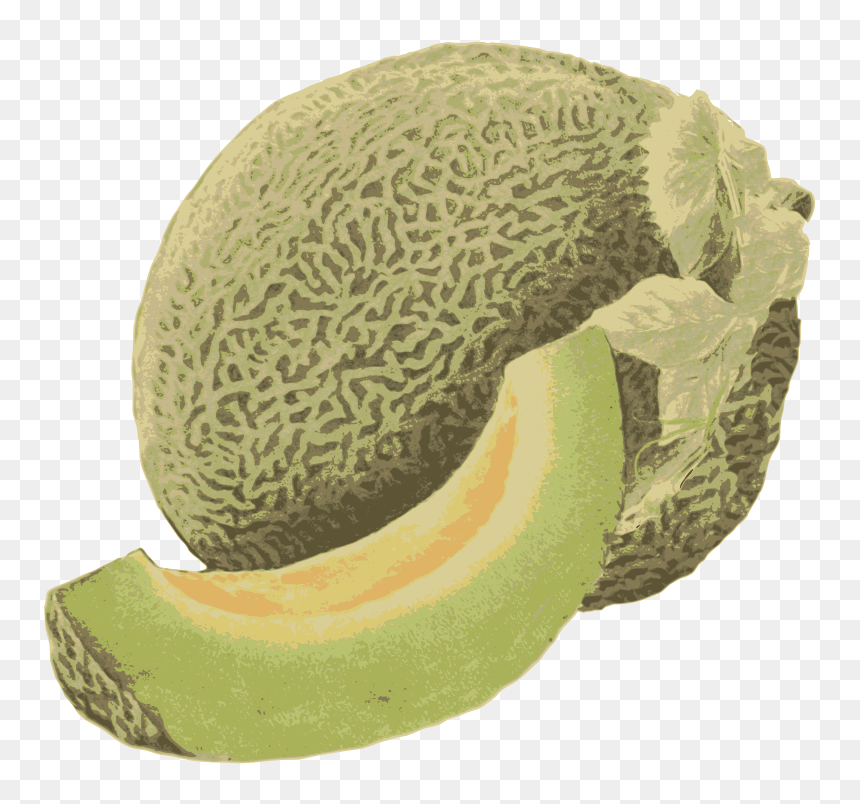 Honeydew Melon - Honeydew, HD Png Download - honeydew png