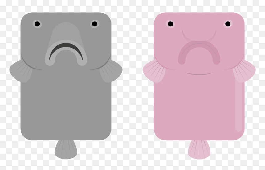 Iphone, HD Png Download - blobfish png