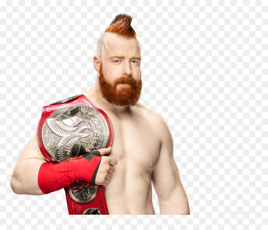 Sheamus Wwe World Tag Team Champion - Sheamus Raw Tag Team Champion Png, Transparent Png - cesaro png