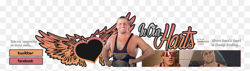 Fun, HD Png Download - bret hart png