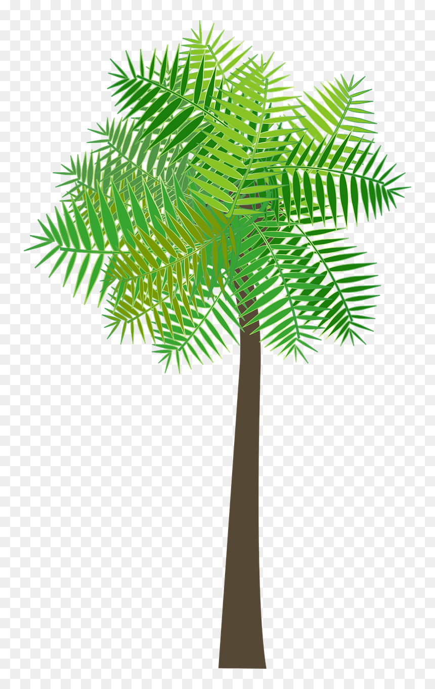 Christmas Tree, HD Png Download - palm branch png
