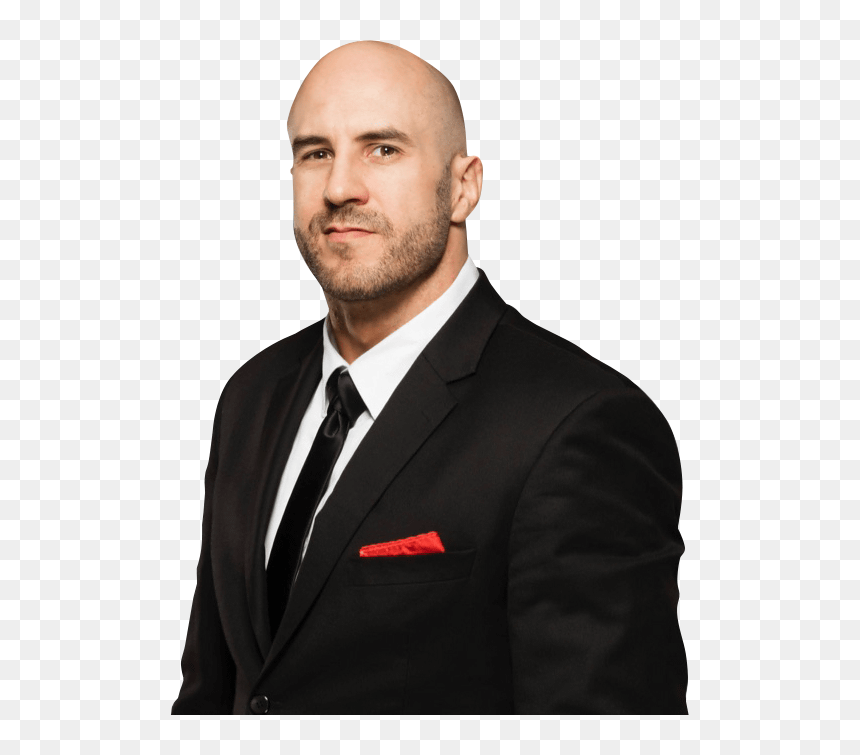 Transparent Cesaro Png - Direktor Policije, Png Download - cesaro png