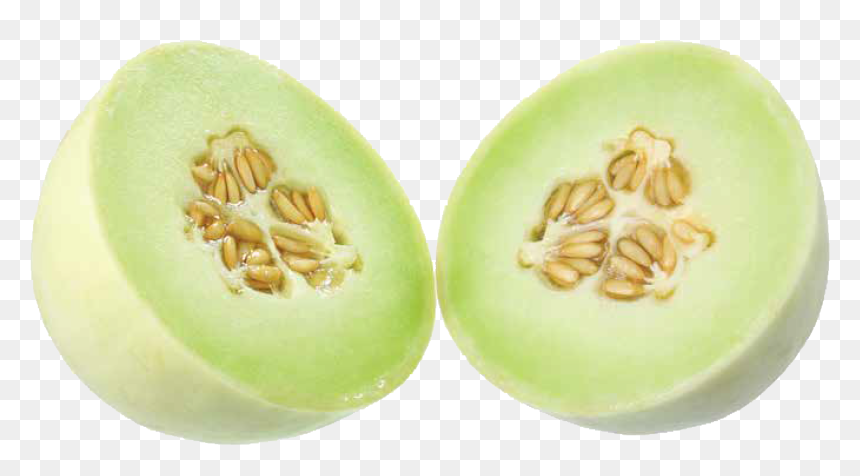 Honeydew , Png Download - Melon, Transparent Png - honeydew png