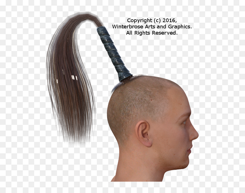Transparent Horse Tail Png - Man Horse Tail Hair, Png Download - justin bieber hair png