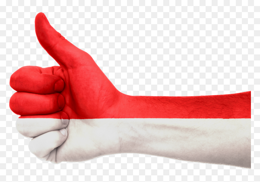 Indonesia Flag Hand Png, Transparent Png - indonesia flag png