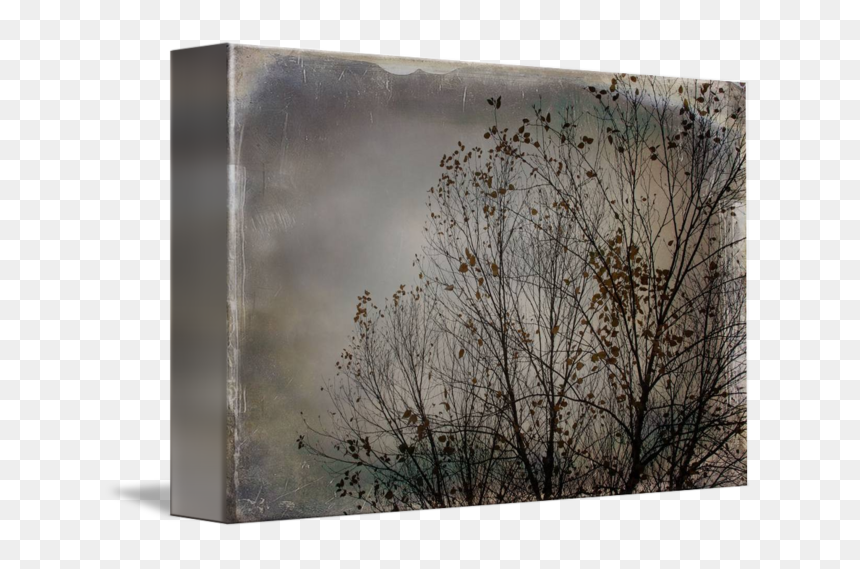 River Birch Png - Wood, Transparent Png - river birch png