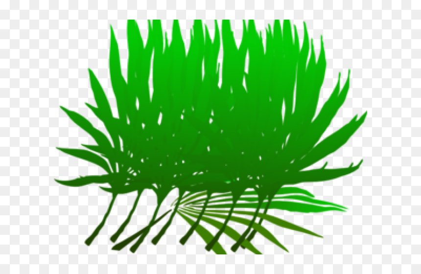 Las Palmas, Hd Png Download - Clip Art, Transparent Png - palm branch png