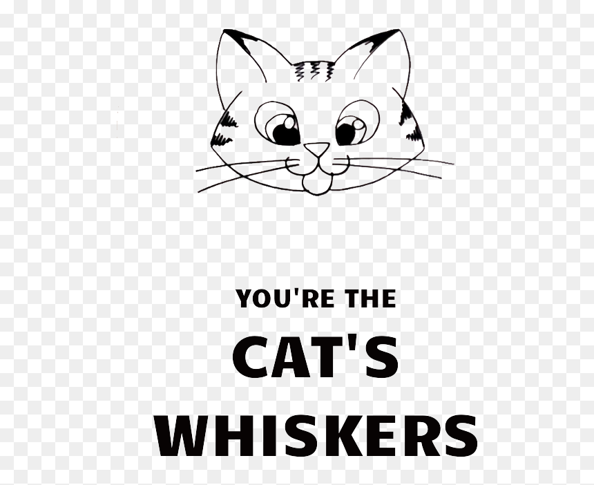 You"re The Cat"s Whiskers - Peter Sutherland Bp, HD Png Download - cat whiskers png