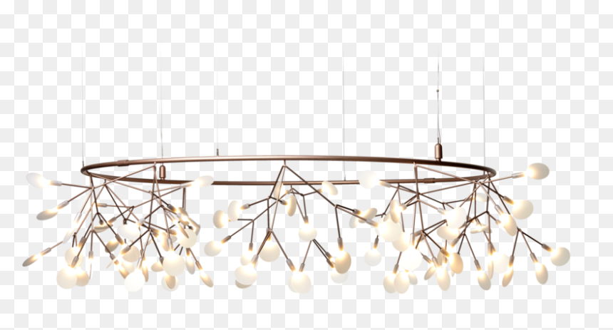 Moooi Heracleum The Big O, HD Png Download - light fixture png