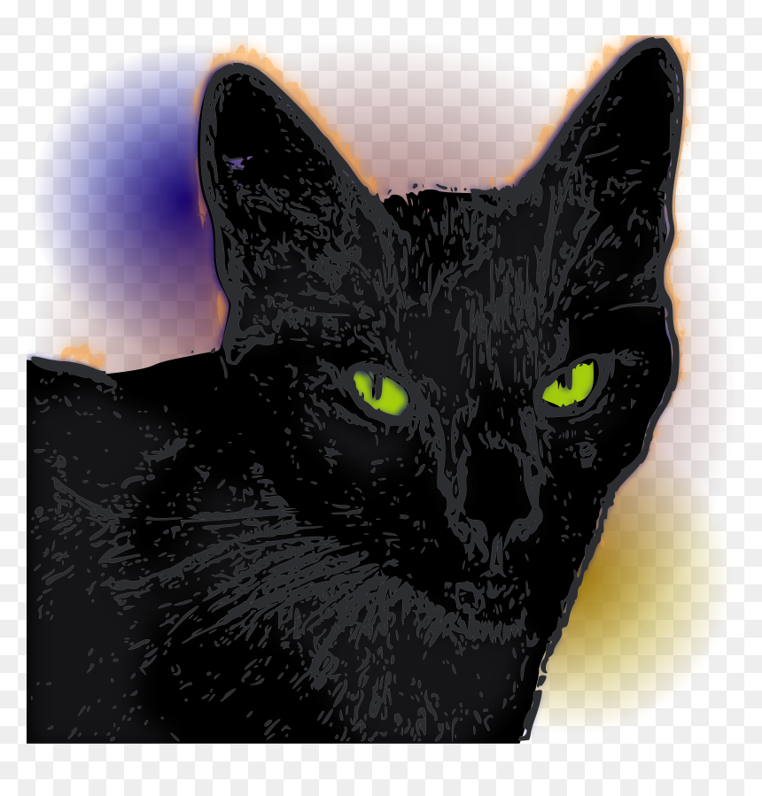 Pandora Gata Negra Clip Arts - Gata Pandora, HD Png Download - pandora png