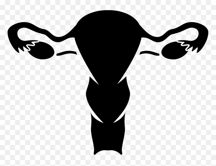 Nfm Vaginal Bleeding - Female Reproductive System Logo, HD Png Download - vagina png