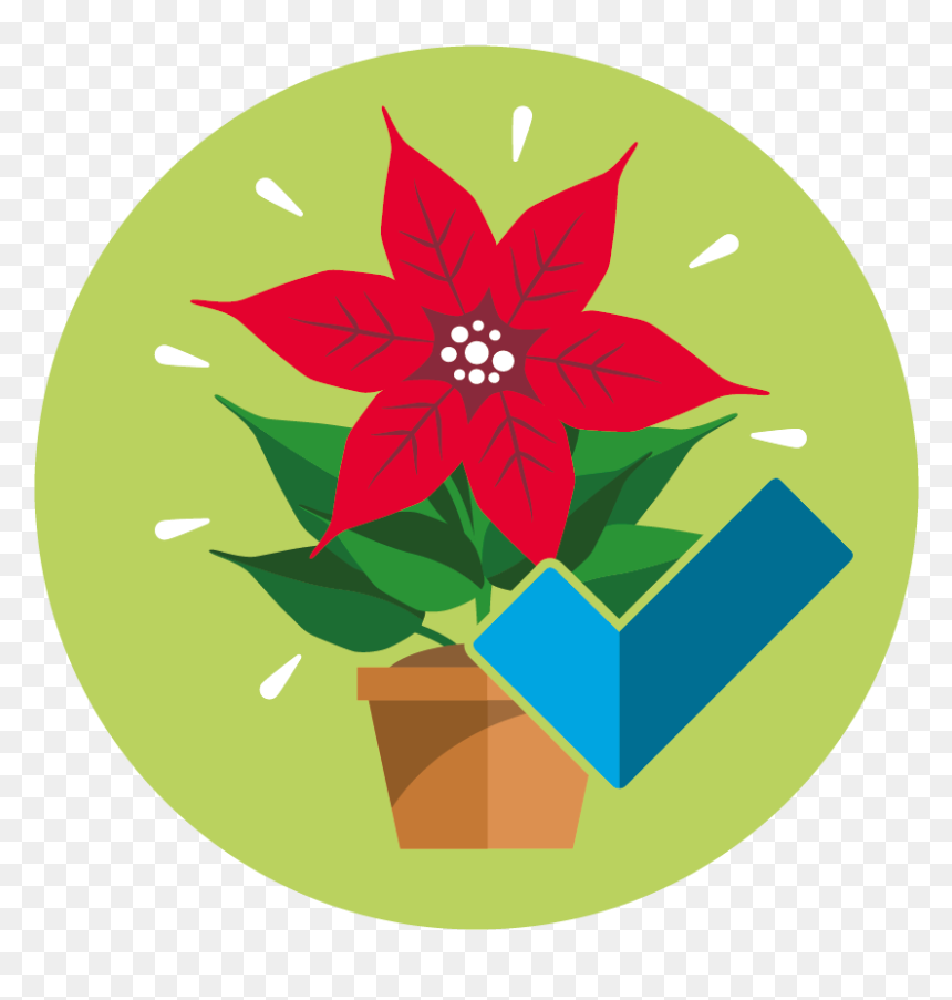 Emblem, HD Png Download - christmas star png