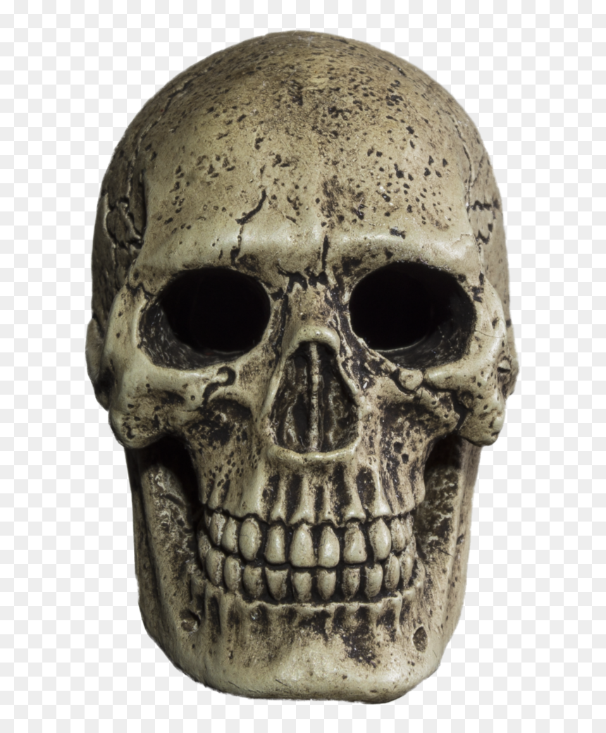 Skull , Png Download - Skull, Transparent Png - png skull