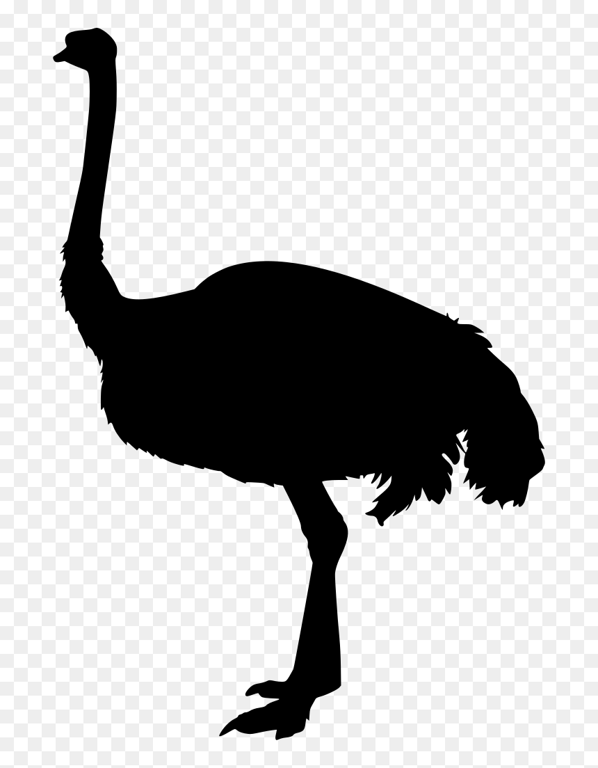 Turkey Clipart , Png Download - Turkey, Transparent Png - turkey clipart png