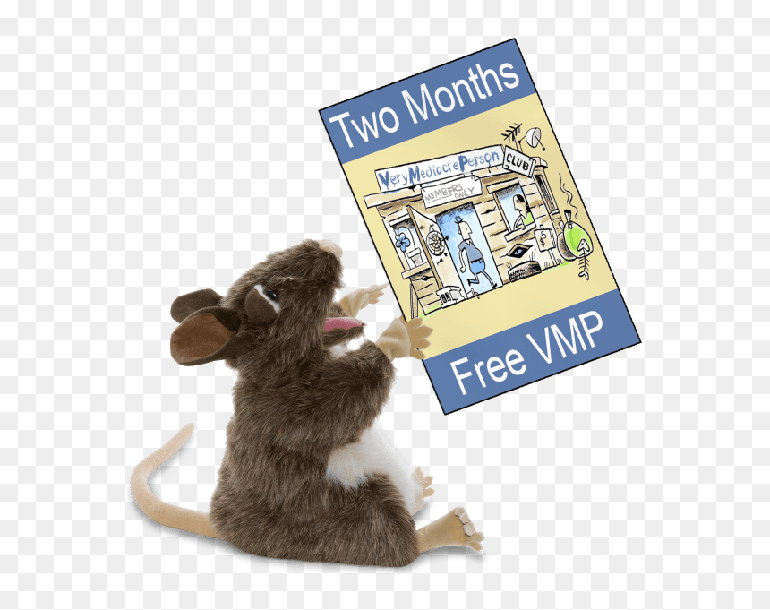 Macaque, HD Png Download - vmp png