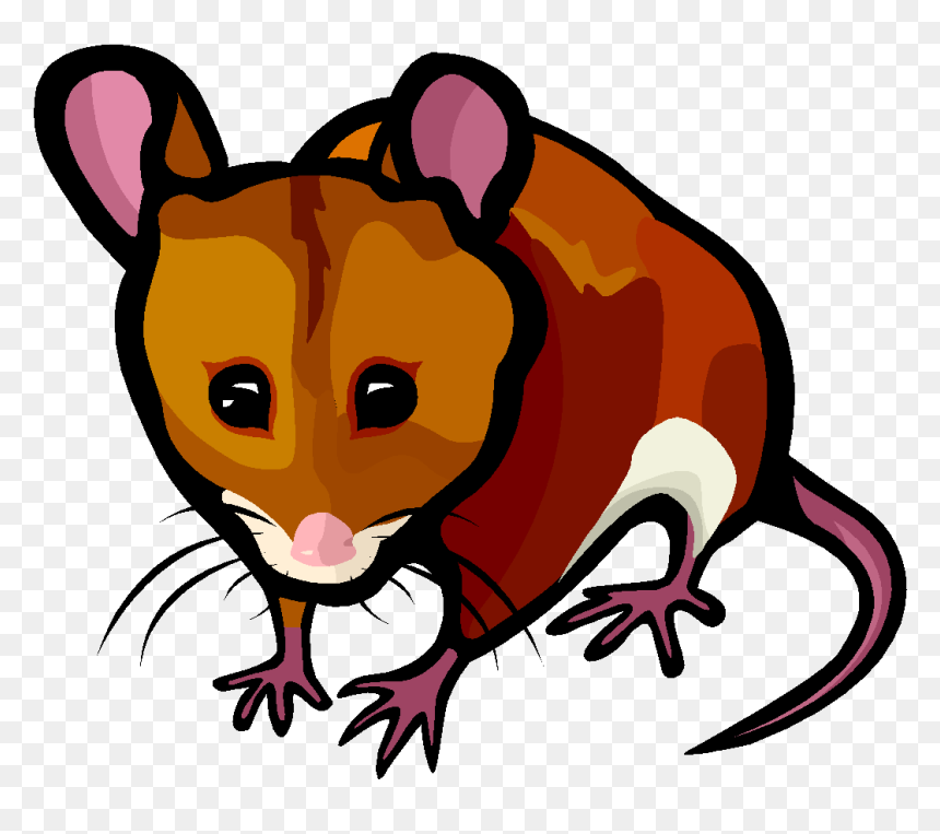 Good Hygiene Practice - Mode Of Transmission Of Murine Typhus, HD Png Download - hitler hair png