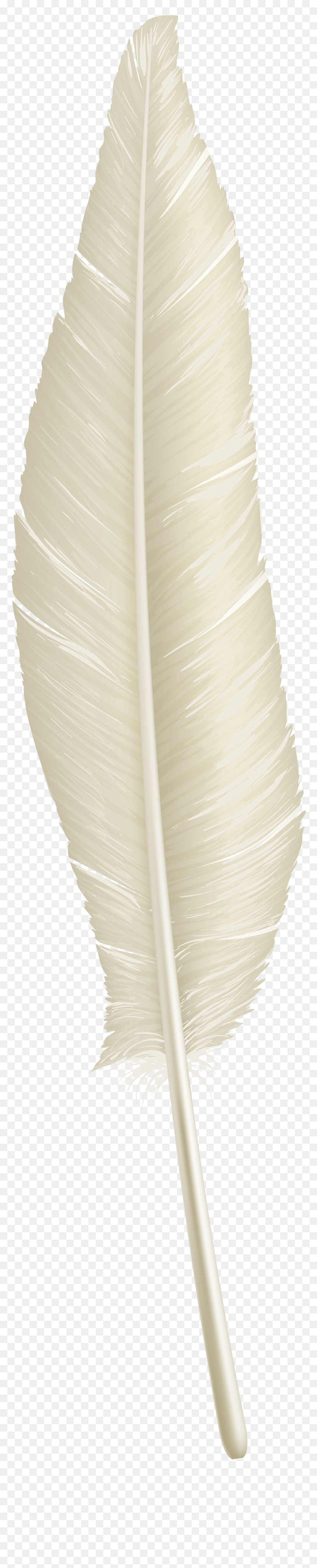 White Feather Png Download - Gown, Transparent Png - white feather png