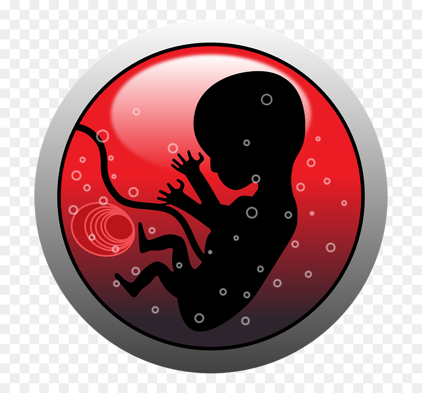 Abortion In Clip Art, HD Png Download - pregnant silhouette png