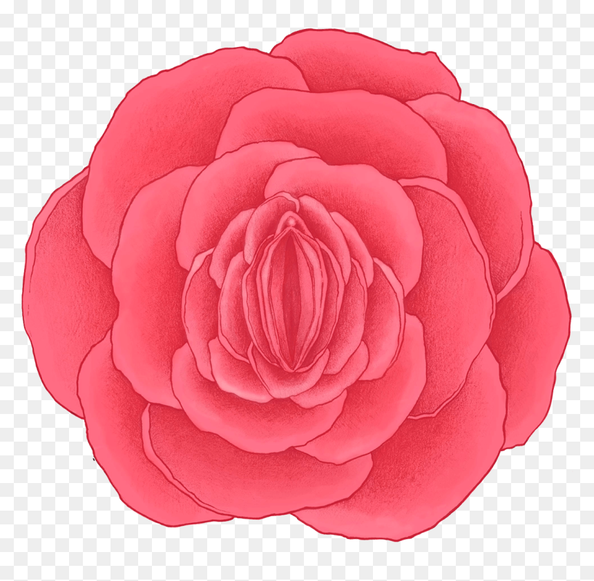 Rose Vagina , Png Download - Flower With Vagina Drawing, Transparent Png - vagina png