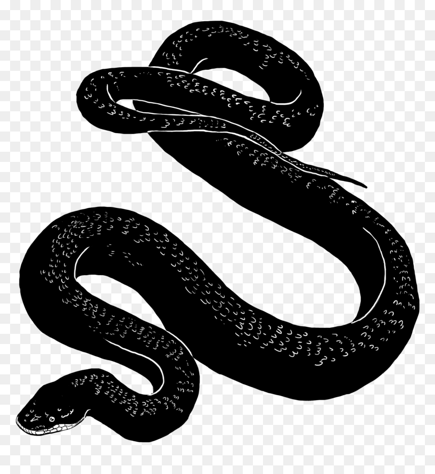 Manelwatta Temple, HD Png Download - black snake png