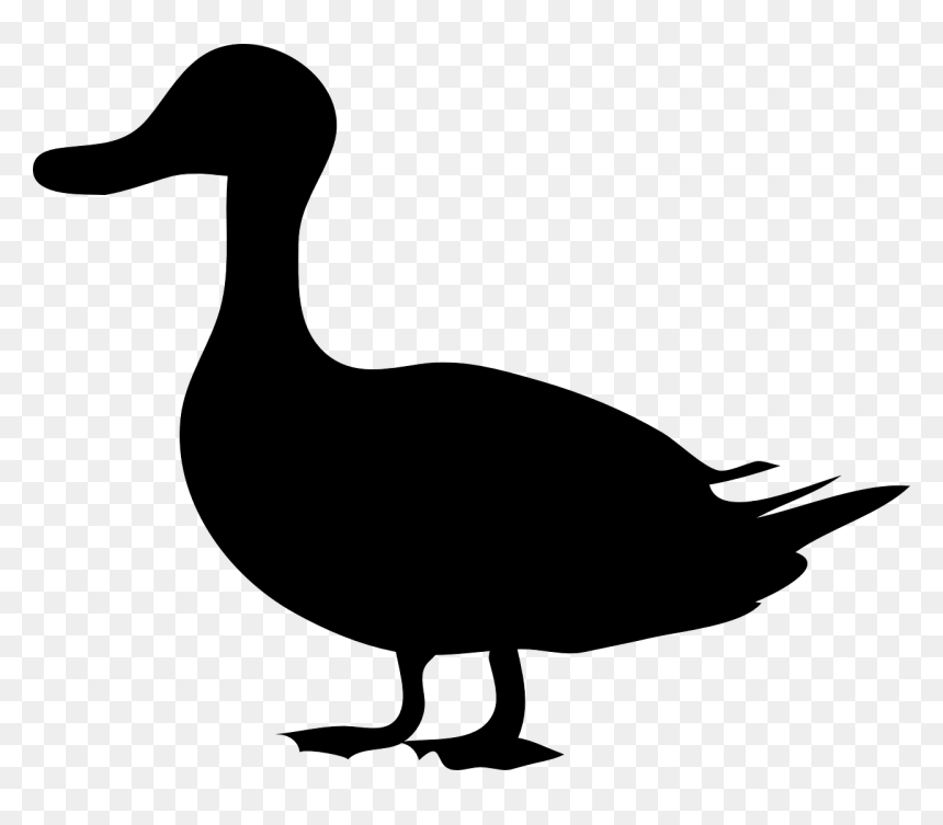 Duck Silhouette, HD Png Download - black bird png