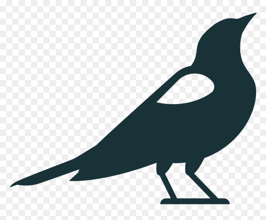 Blackbird, HD Png Download - black bird png