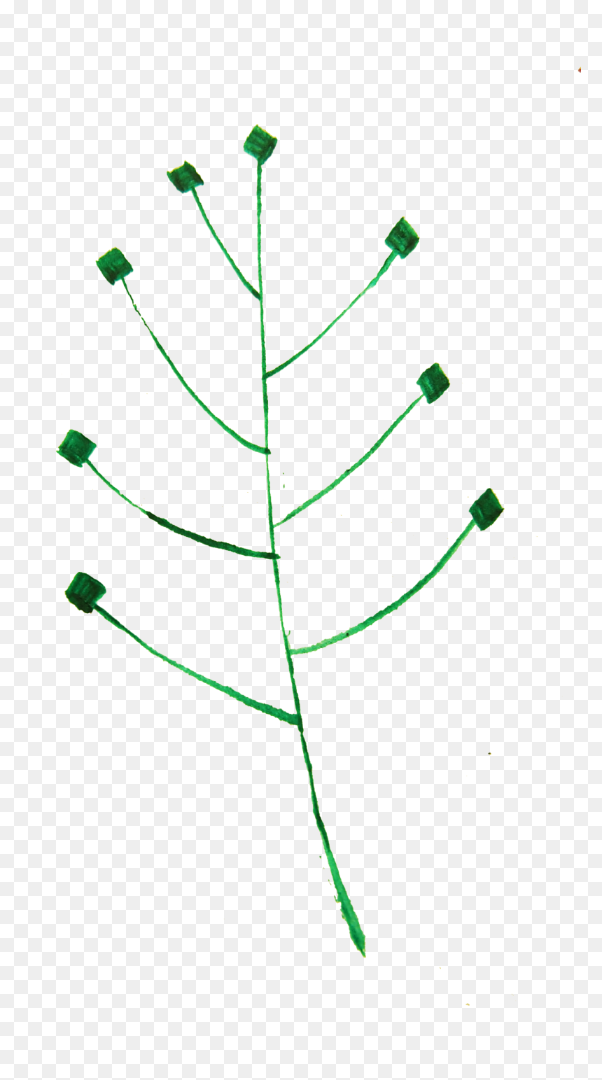 Calligraphic Illustration Leaf, Twig, Plant 1 Clip - Christmas Tree, HD Png Download - twigs png