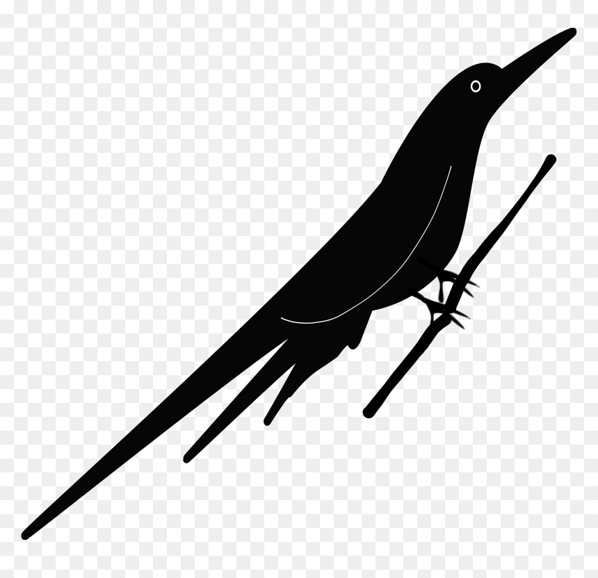 Bird Clip Arts - Vector Graphics, HD Png Download - black bird png