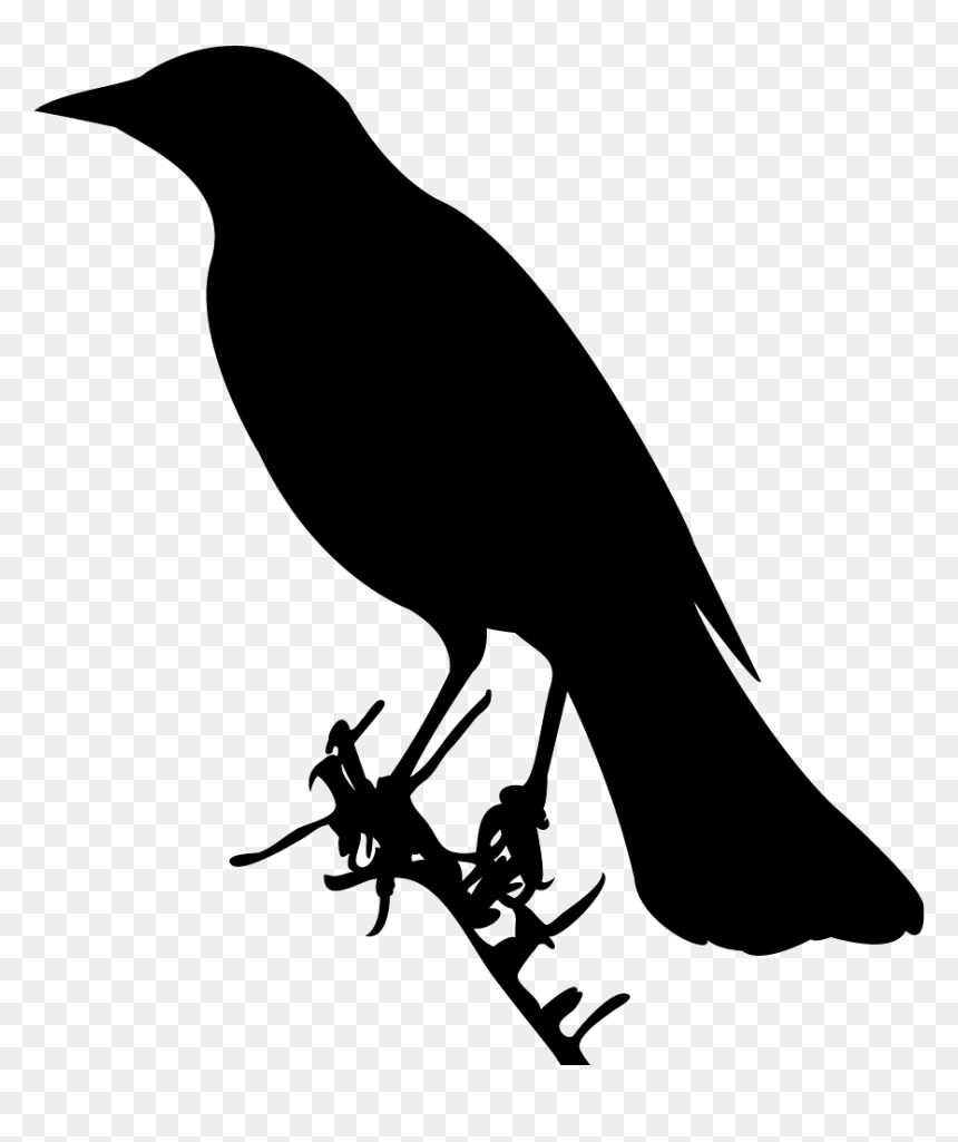 Red Winged Blackbird Silhouette, HD Png Download - black bird png