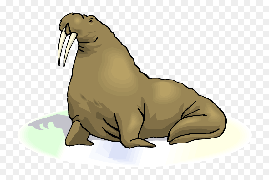 Download Free Png Images - Transparent Background Walrus Clip Art, Png Download - walrus png