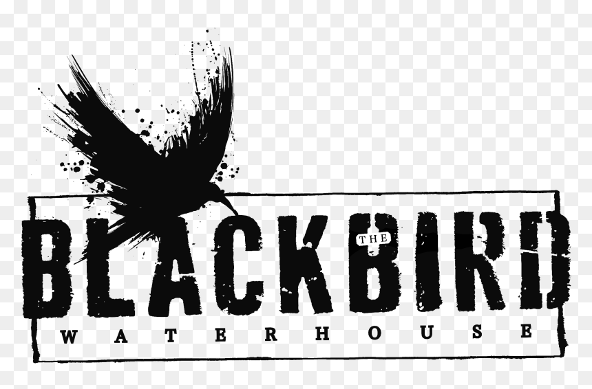 Eagle, HD Png Download - black bird png