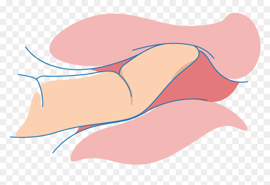 Vagina Massage, HD Png Download - vagina png