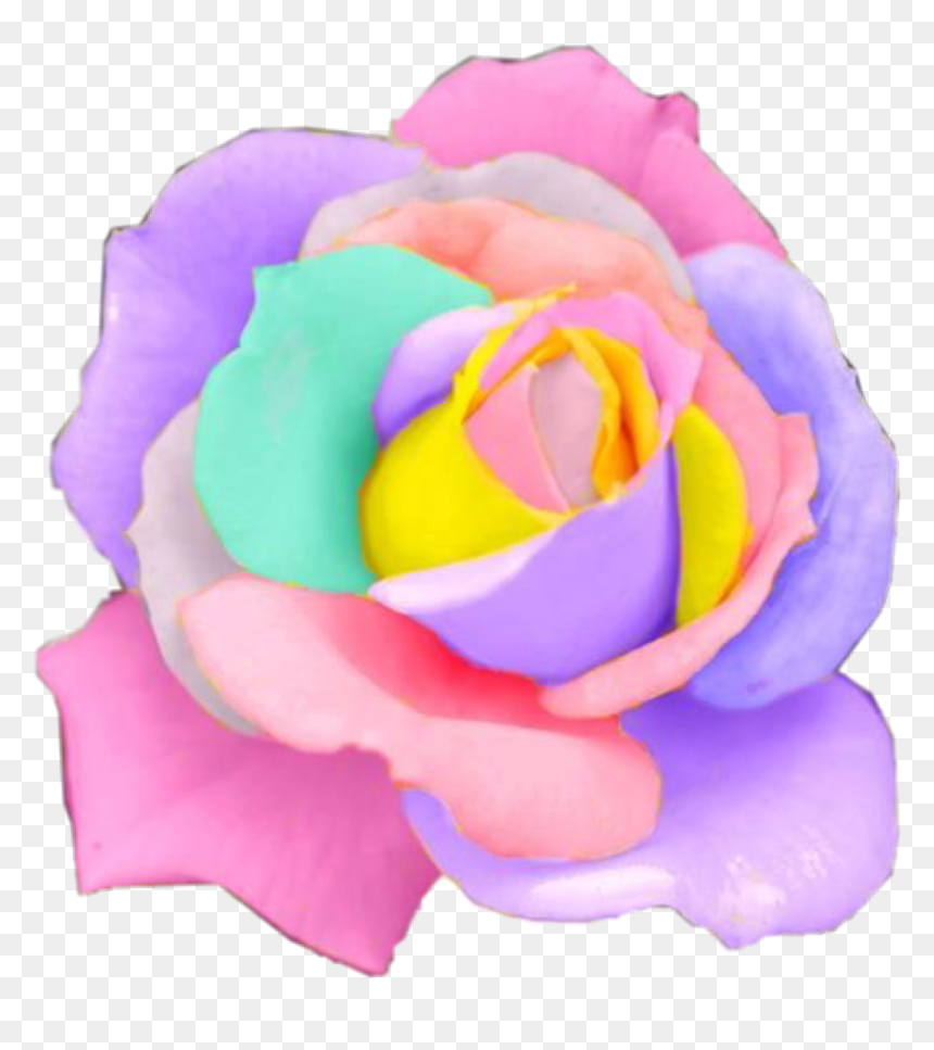 Library Of Pastel Flower Graphic Freeuse Download Transparent - Rainbow Rose, HD Png Download - pastel flowers png