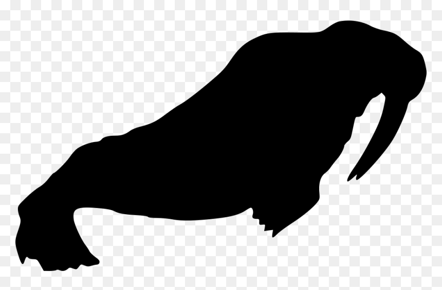 Walrus - Walrus Icon, HD Png Download - walrus png