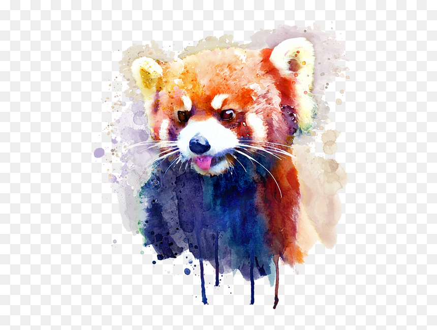 Bleed Area May Not Be Visible - Red Panda Watercolour Png, Transparent Png - red panda png