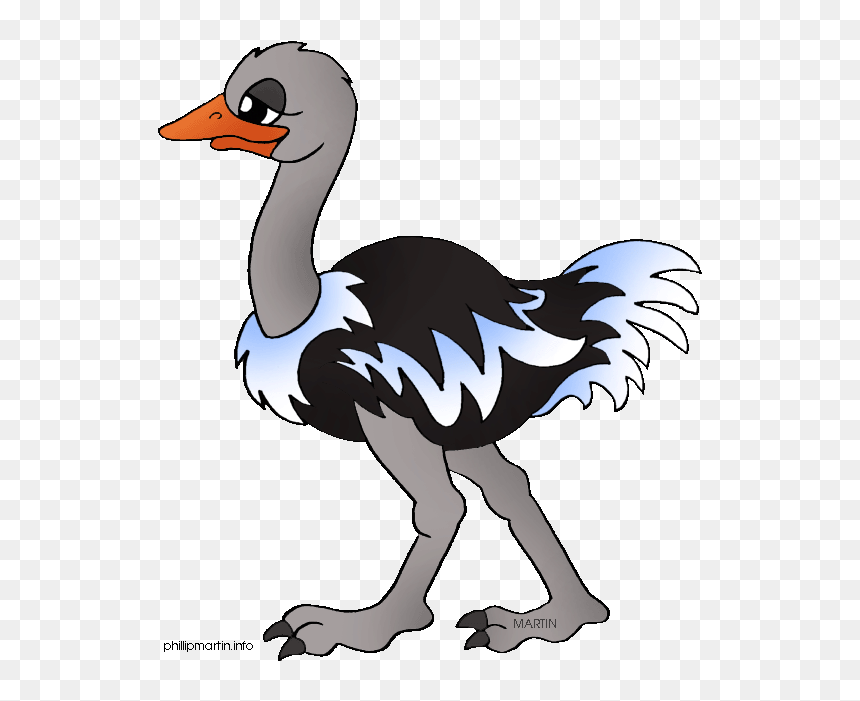 Cartoon Picture Of Ostrich - Clip Art Ostrich, HD Png Download - ostrich png