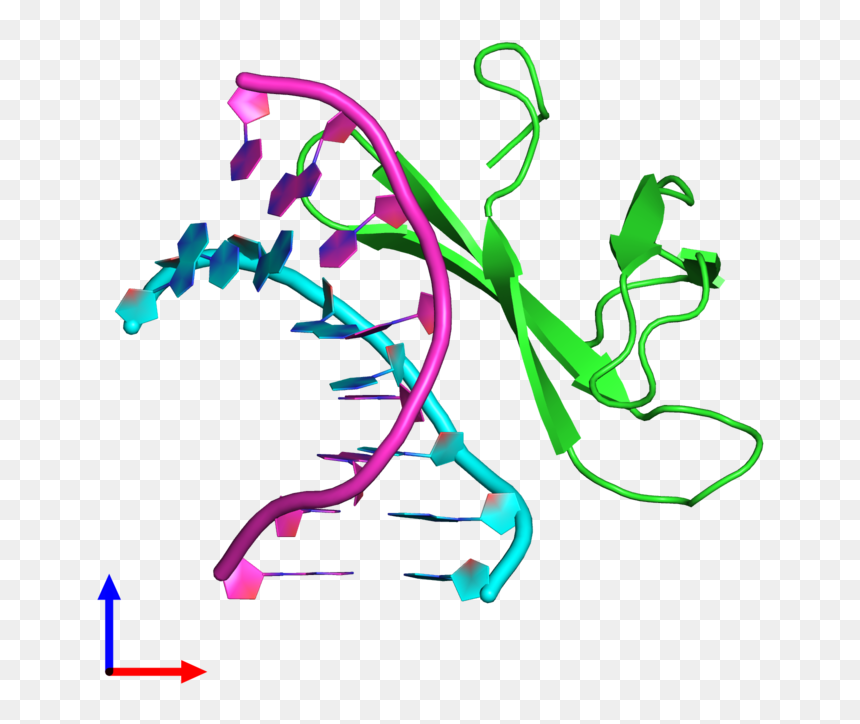 Pdb 4r55 Coloured By Chain And Viewed From The Front - Graphic Design, HD Png Download - ball and chain png