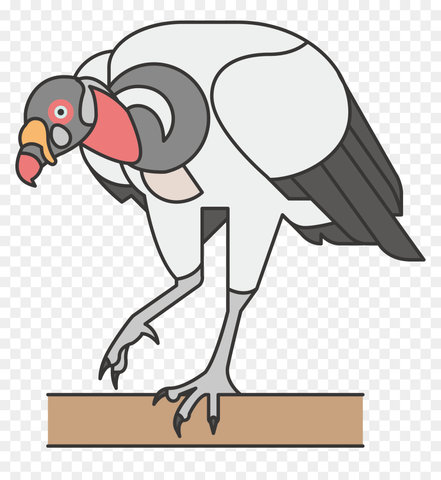 Common Bird Lineated Woodpecker Icon Transprent Png - Common Ostrich, Transparent Png - ostrich png