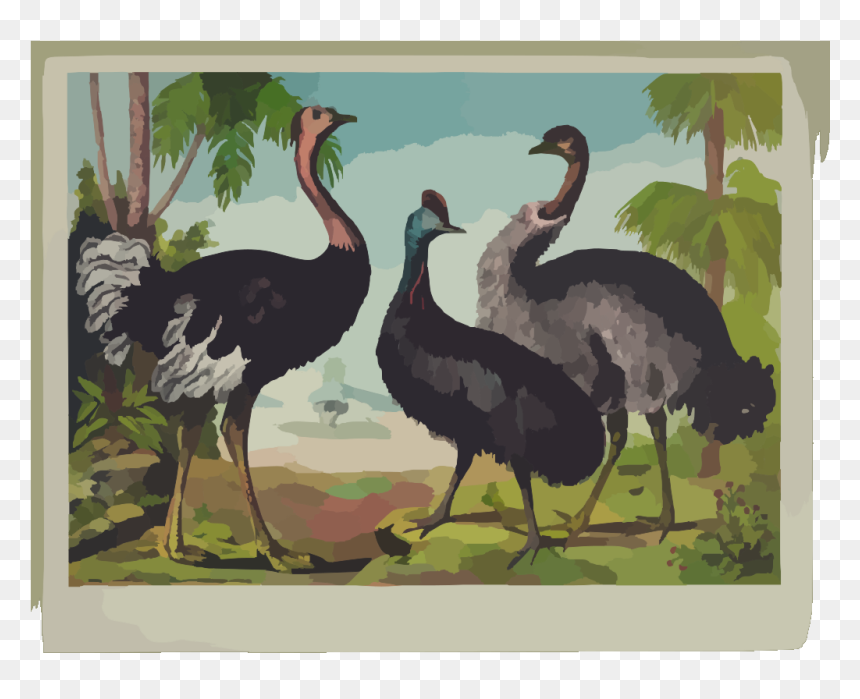 The Ostrich Svg Clip Arts, HD Png Download - ostrich png