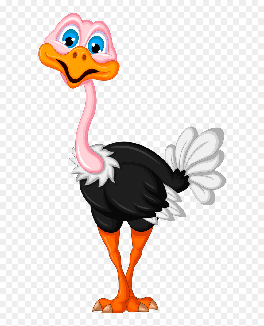 Png Pinterest Rock - Ostrich Clipart Transparent Background, Png Download - ostrich png