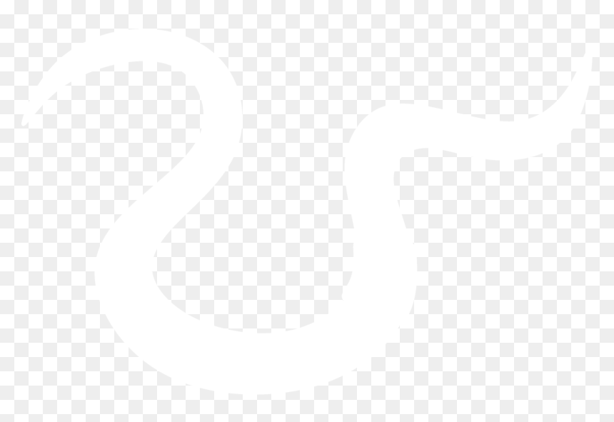 Snake , Png Download - Snake, Transparent Png - black snake png