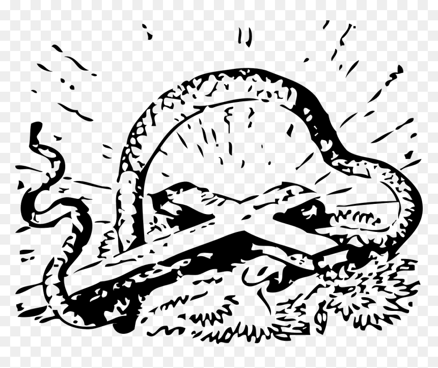 Cross Wıth Snake Png, Transparent Png - black snake png
