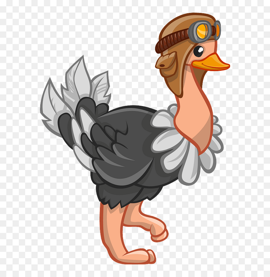Ostrich Clipart - Baby Ostrich Clipart Transparent, HD Png Download - ostrich png