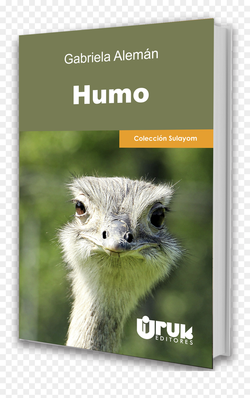 Bird Portrait, HD Png Download - ostrich png
