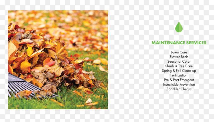 Maintenance Services 75 - Leaf Raking, HD Png Download - twigs png