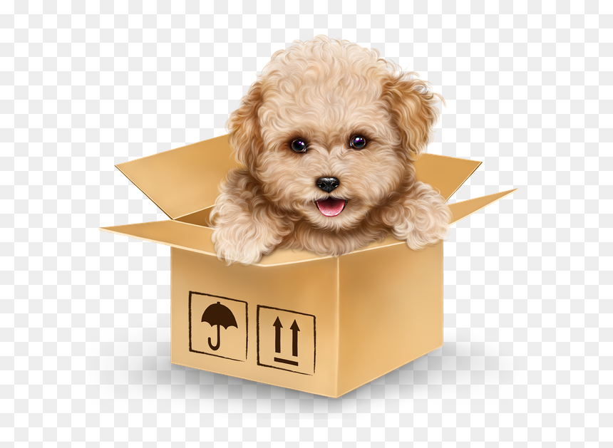 Cowgirl With A Puppy 5 - Dog, HD Png Download - cowgirl png
