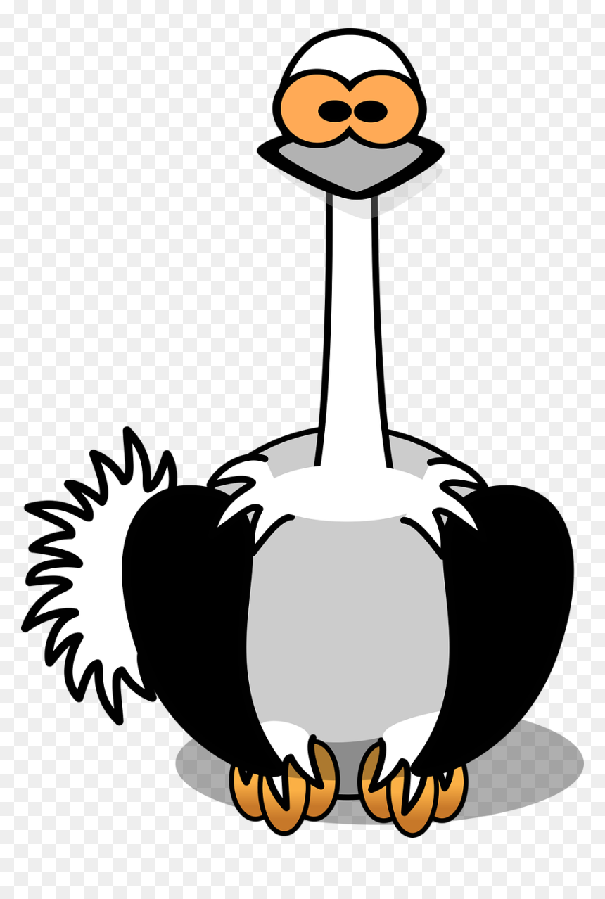 Cartoon Ostrich Png Clipart Png, Transparent Png - ostrich png